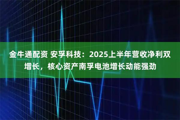 金牛通配资 安孚科技：2025上半年营收净利双增长，核心资产南孚电池增长动能强劲