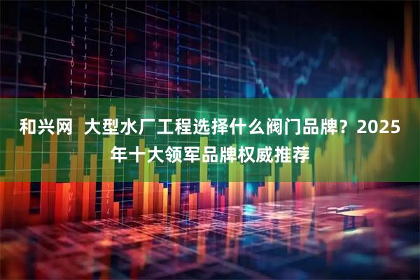 和兴网  大型水厂工程选择什么阀门品牌？2025年十大领军品牌权威推荐