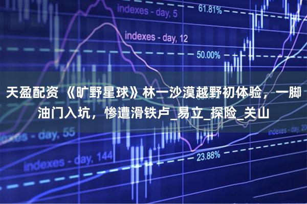 天盈配资 《旷野星球》林一沙漠越野初体验，一脚油门入坑，惨遭滑铁卢_易立_探险_关山